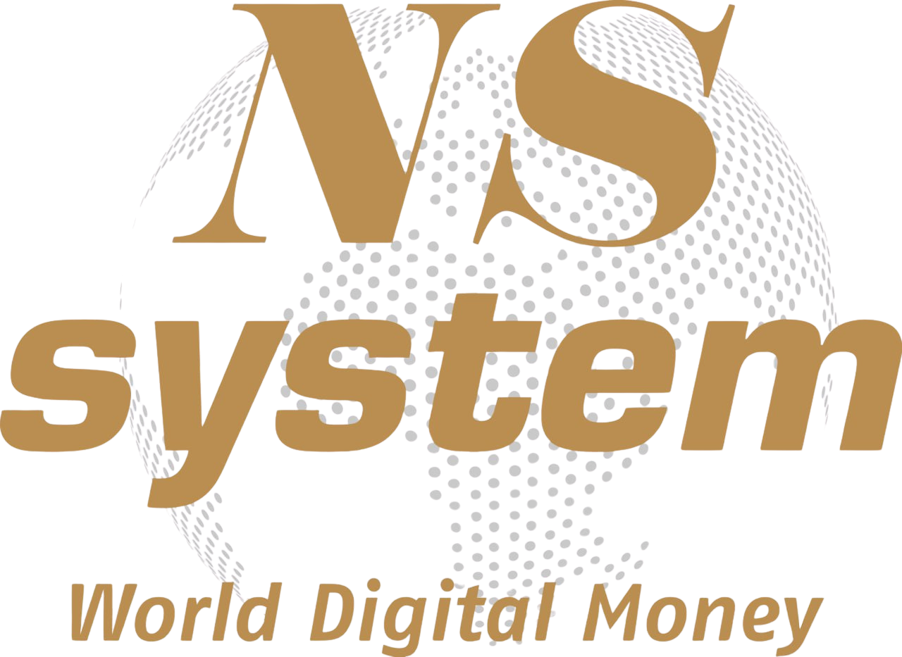 nssystem_logo