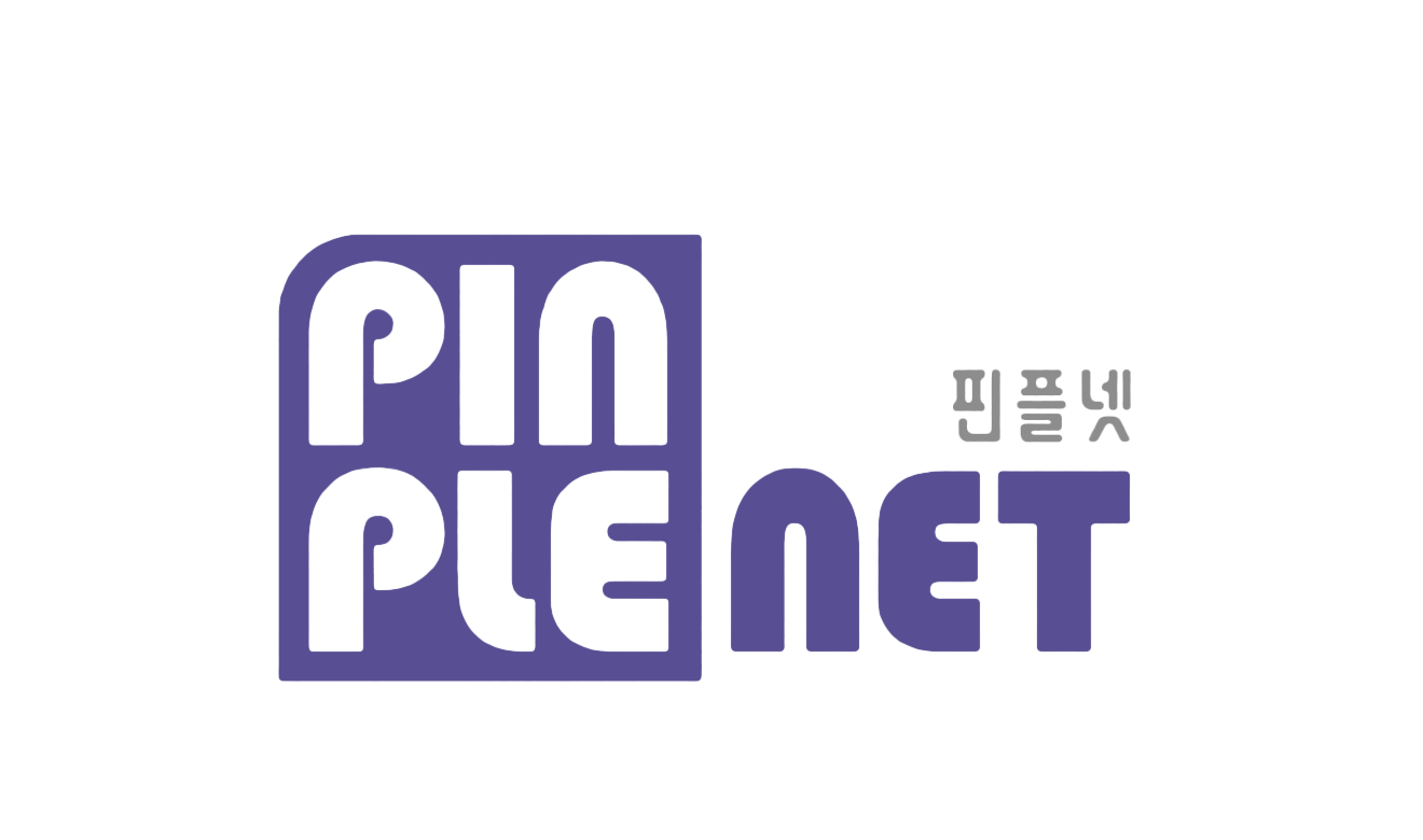 pinplenet_logo